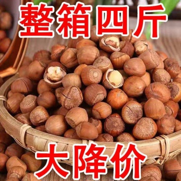东北野山榛子新货铁岭特产原味生炒熟薄皮坚果大颗粒手拍**