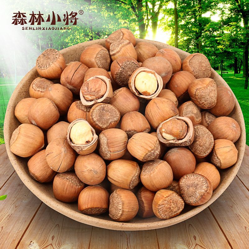 东北野山榛子新货铁岭特产原味生炒熟薄皮坚果大颗粒手拍**