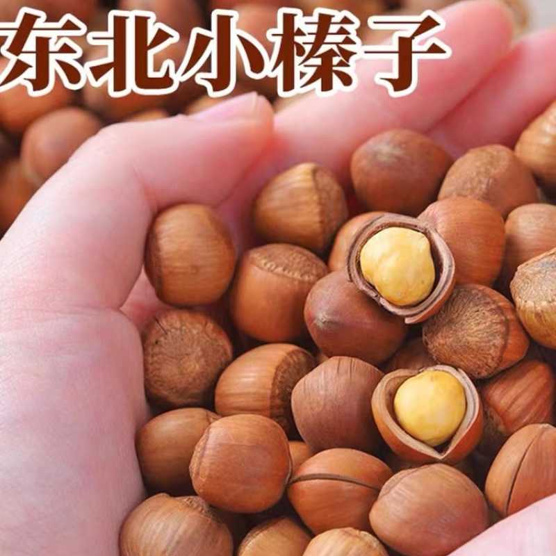 东北野山榛子新货铁岭特产原味生炒熟薄皮坚果大颗粒手拍**