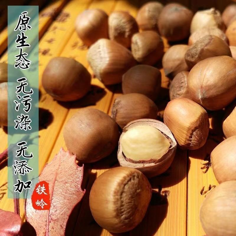 东北野山榛子新货铁岭特产原味生炒熟薄皮坚果大颗粒手拍**