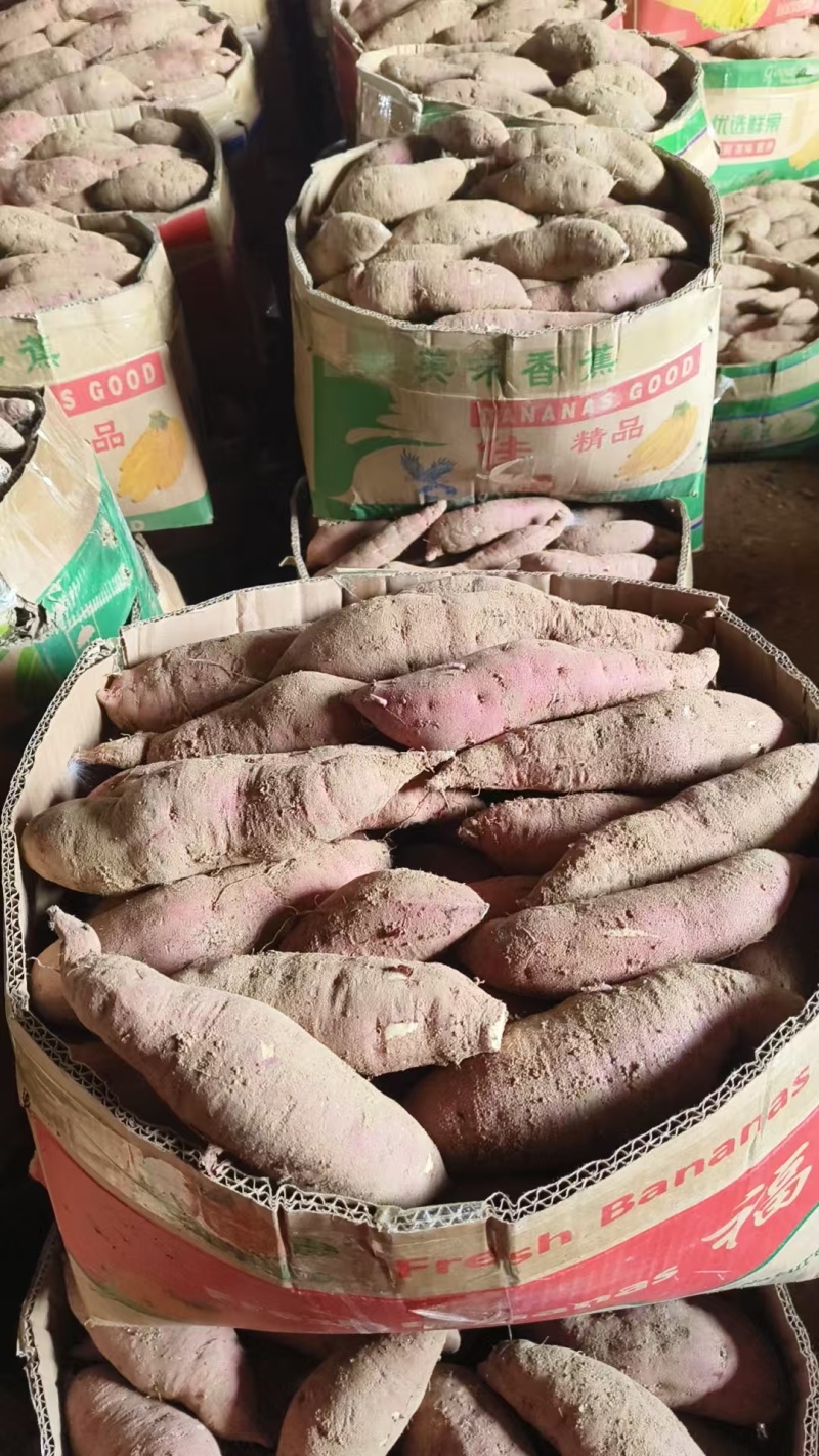 自己家里种的榴莲蜜薯，都是精挑细选的精品果山东潍坊市临朐