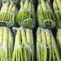 棒菜