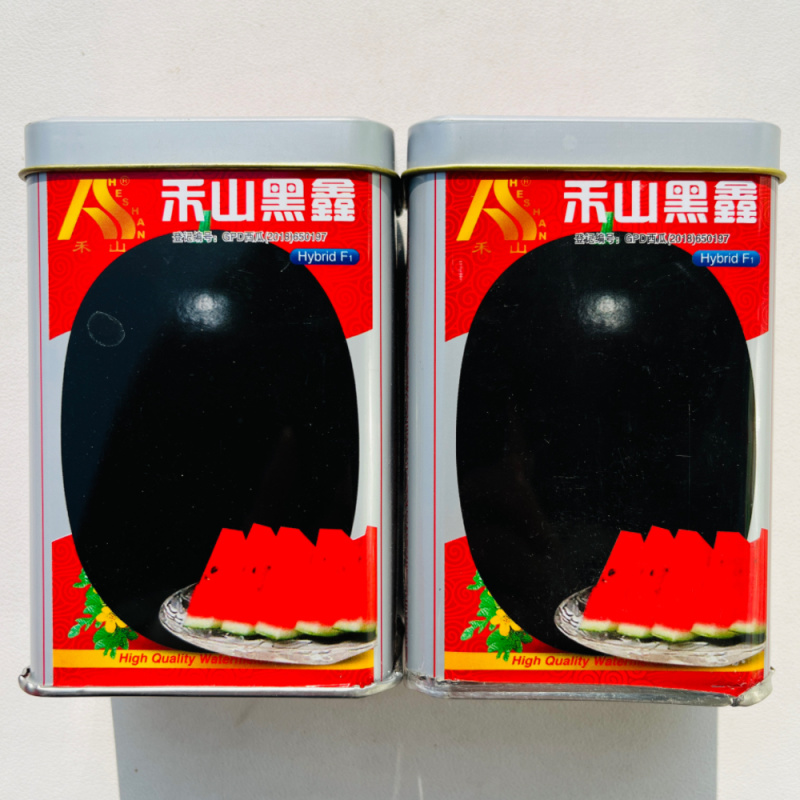禾山黑鑫西瓜种子中熟大果抗病黑皮西瓜种子果肉大红肉质脆沙