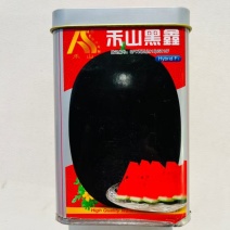 禾山黑鑫西瓜种子中熟大果抗病黑皮西瓜种子果肉大红肉质脆沙