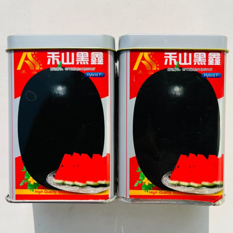 禾山黑鑫西瓜种子中熟大果抗病黑皮西瓜种子果肉大红肉质脆沙