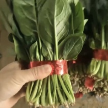 精品菠菜