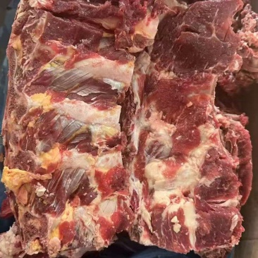 牛脊骨