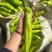 黄皮尖椒