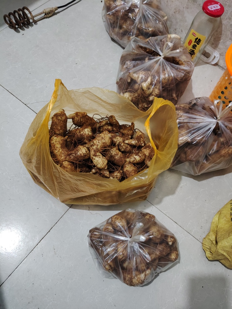 黄精炖鸡