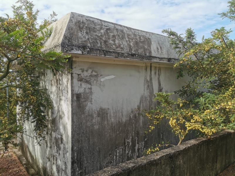 潮汕甜油甘总货榨汁果市场果微商自家果园每天新鲜采摘
