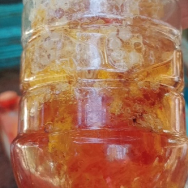 冬季百花蜜