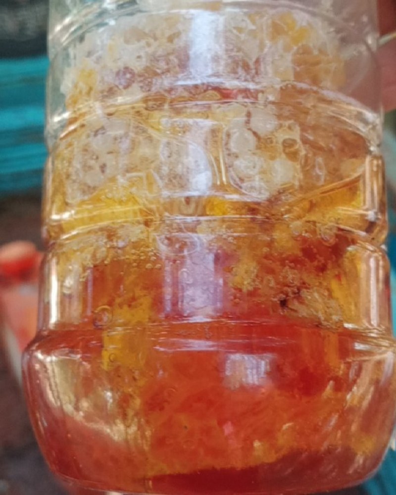 冬季百花蜜