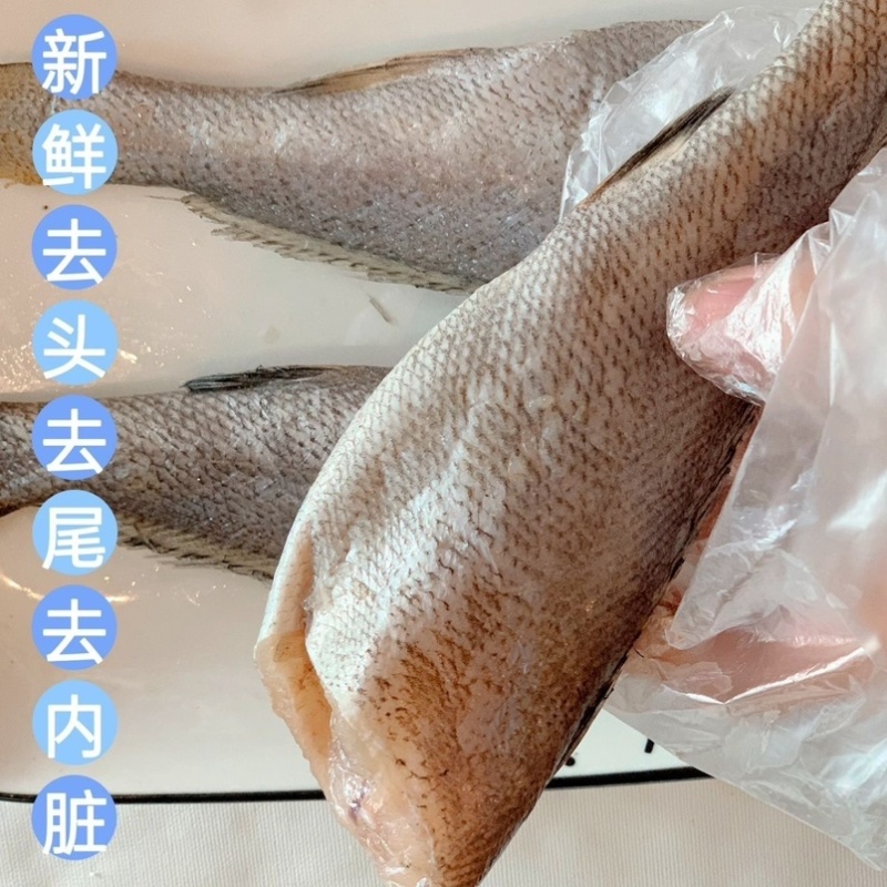 新鲜米鱼冷冻鳘鱼敏鱼海鱼活冻海鲜批发鮸鱼去头去内脏免处理