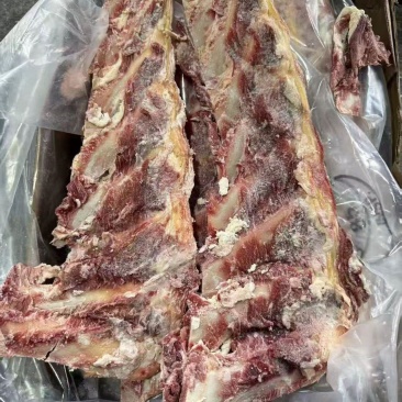牛羽骨