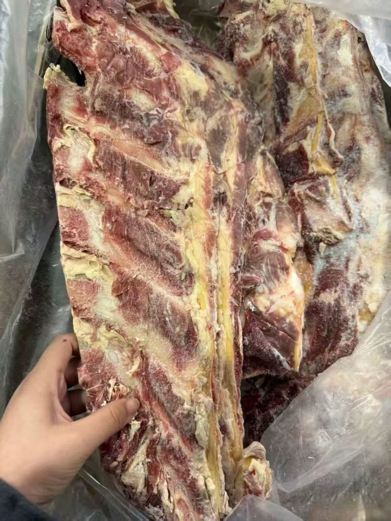 牛羽骨