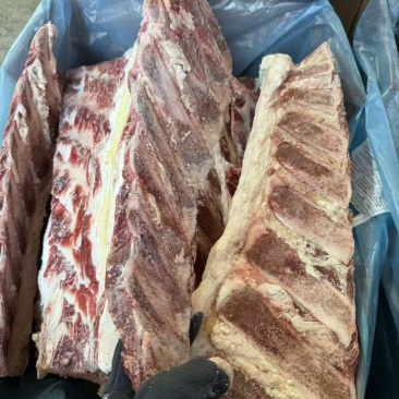 牛羽骨