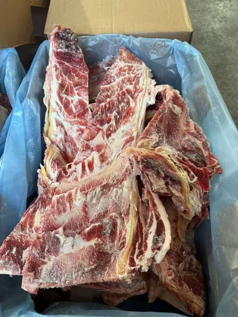 牛羽骨