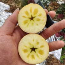 昭通糖心丑苹果