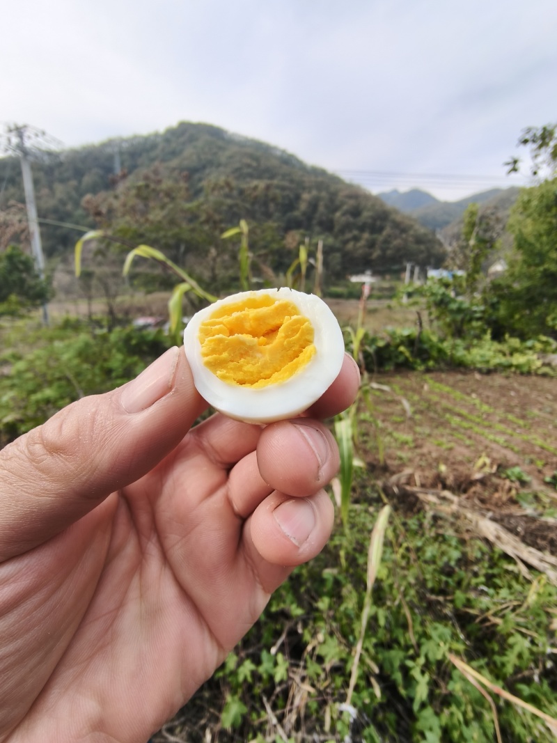 绿壳鸡蛋