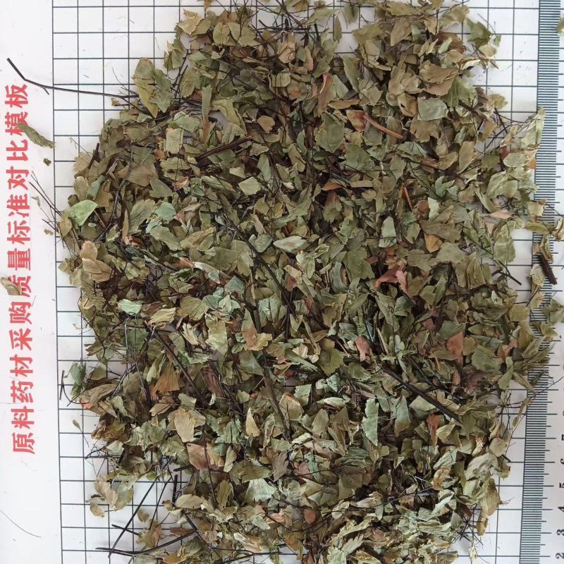 铁线草干货铁线草中药材！欢迎选购！量大从优