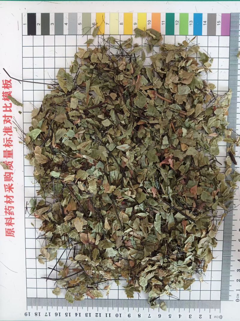 铁线草干货铁线草中药材！欢迎选购！量大从优