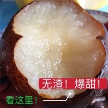 东北冻梨正宗冻秋梨大黑梨苹果梨花盖梨大甜梨东北大冻梨