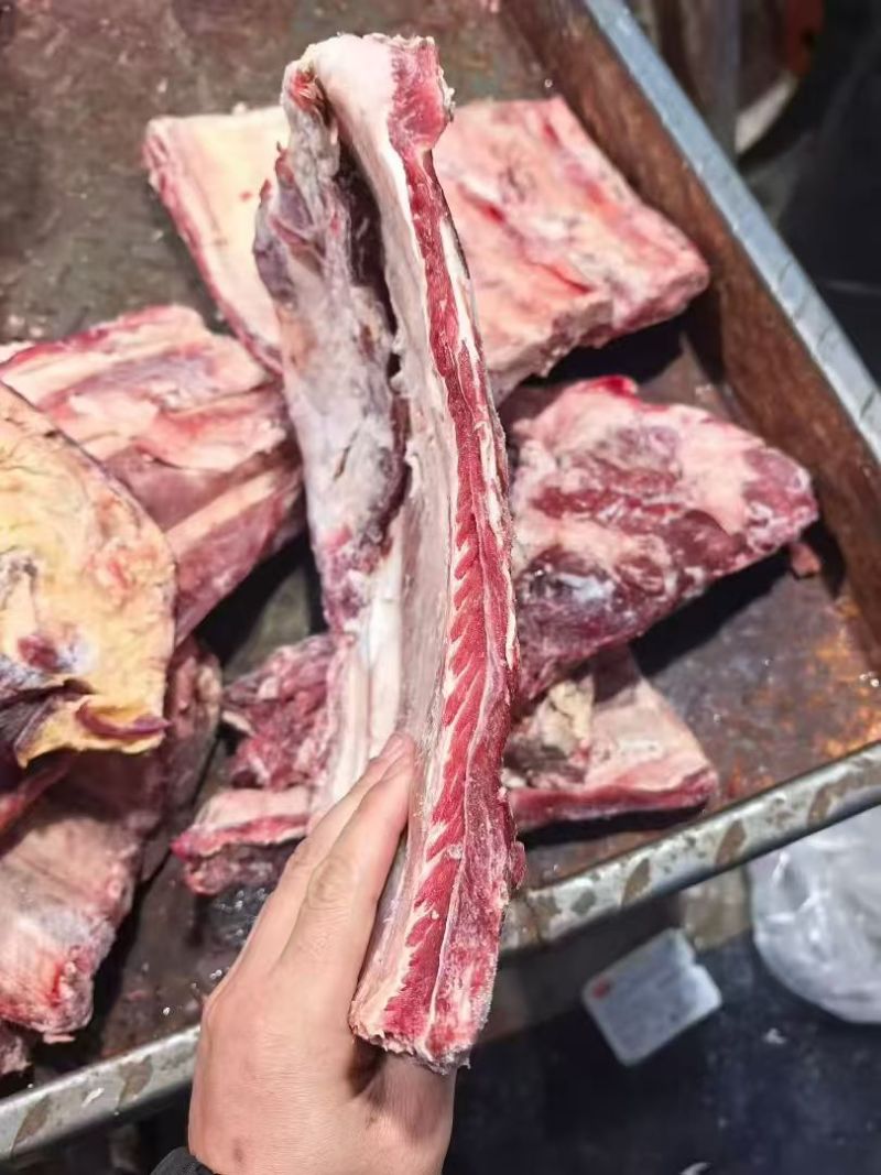 多肉牛肋排