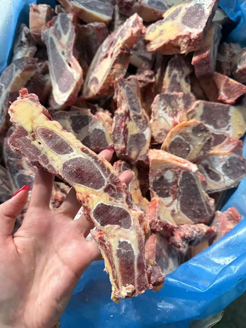 黄膘牛胸骨