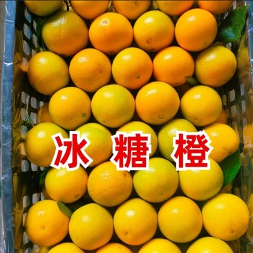 冰糖橙大量供应电商果市场精品规格齐全
