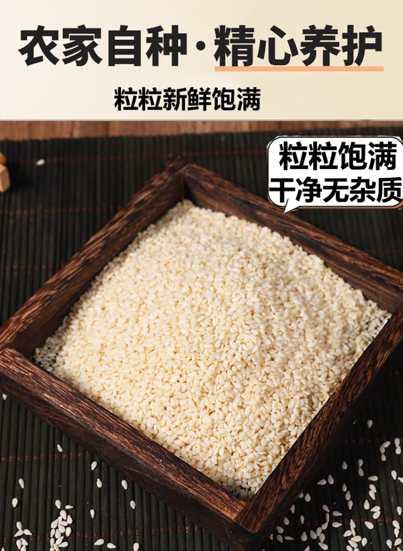 包邮）白芝麻生的2025年新货纯正天然去皮白芝麻粒仁商用