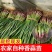 河南中牟红根蒜苗/产区直发/当天发车保质保量