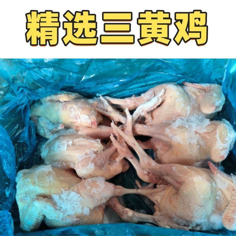 白条鸡活鸡现杀，味道鲜美厂家直销（屠宰检疫）