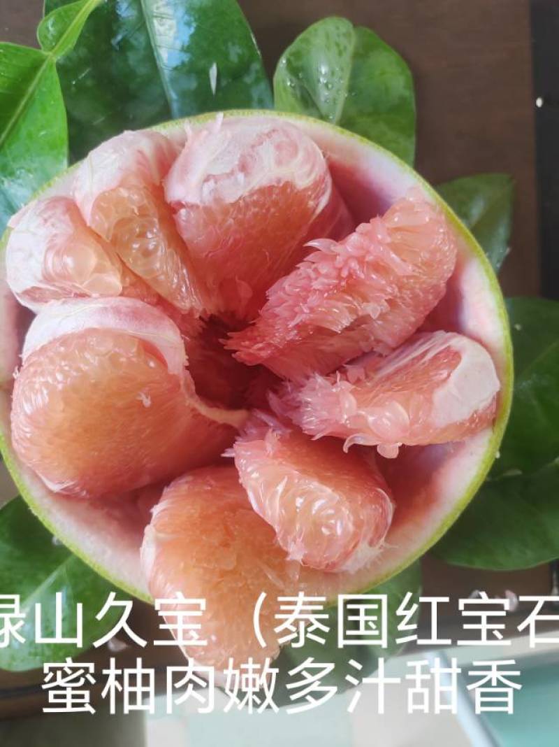 绿山久宝蜜柚，产自云南昌宁卡斯兰山，泰国红宝石青柚的品质
