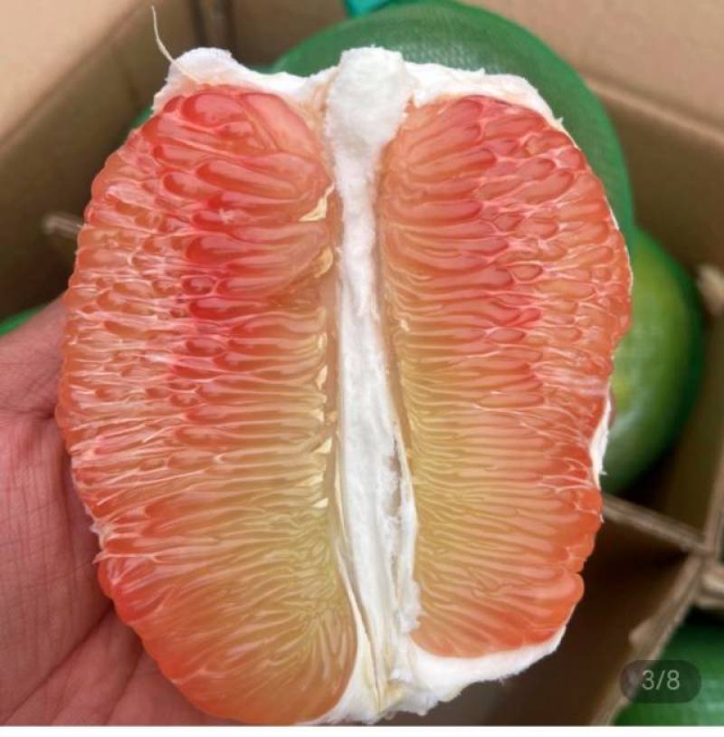 绿山久宝蜜柚，产自云南昌宁卡斯兰山，泰国红宝石青柚的品质