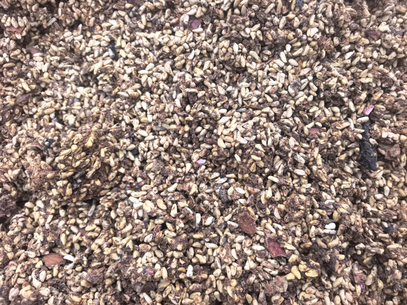 石榴籽：供应各种规格的优质石榴子，含油率18%左右。