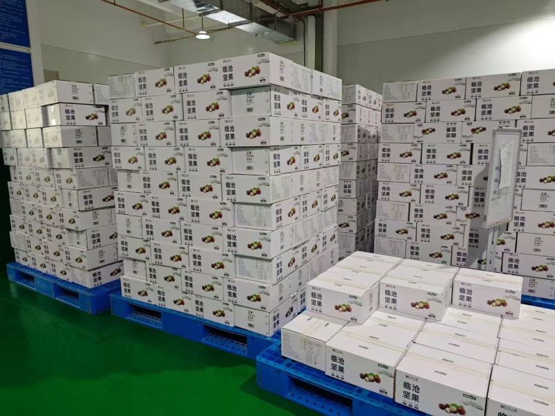云南临沧夏威夷坚果大量批发