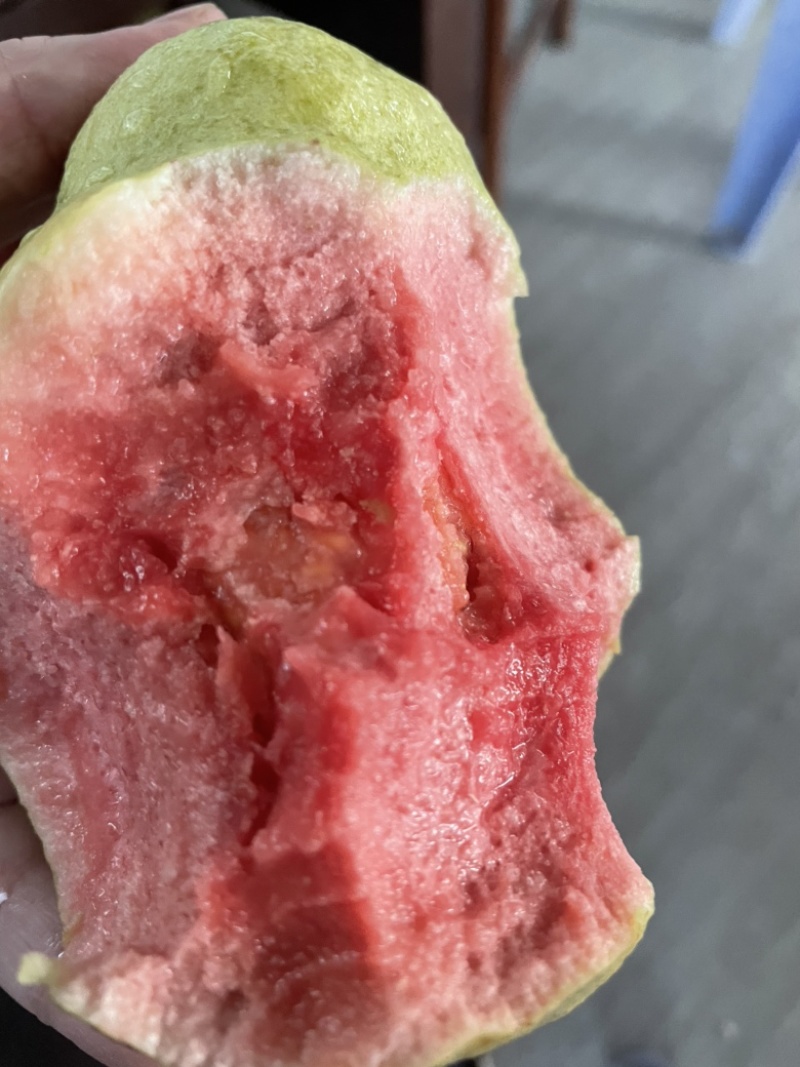 潮汕现摘番石榴新鲜红芭乐品质保证一件代发商都有