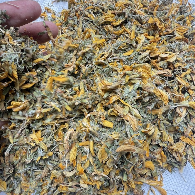 药材金雀花锦鸡儿批发零售可按需抓药保真保量包邮