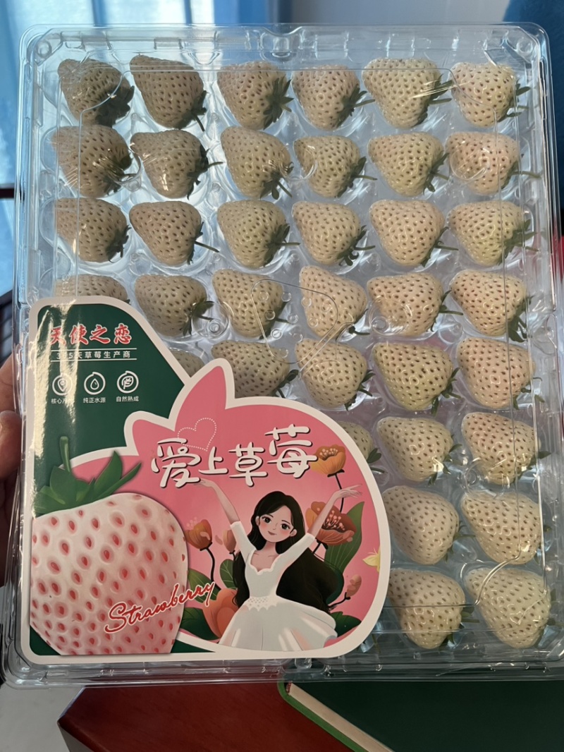 淡雪天使梦之莹产地供应代购