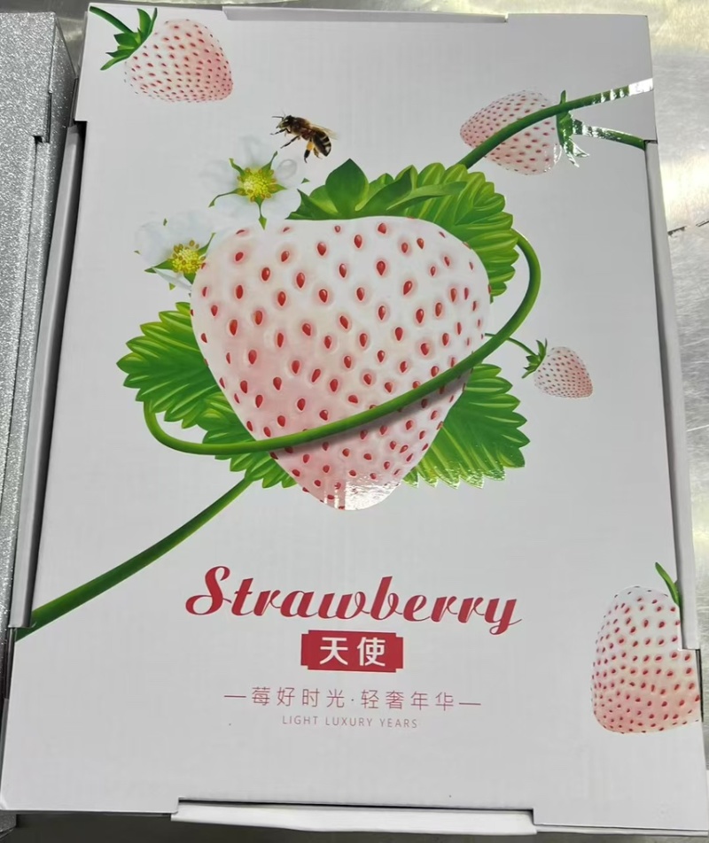 淡雪天使芊雪梦之莹产地直发供应代购