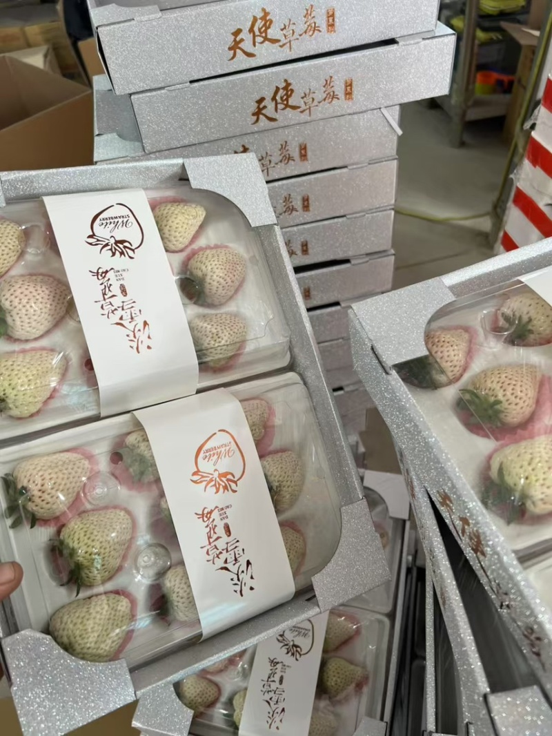 淡雪天使芊雪梦之莹产地直发供应代购