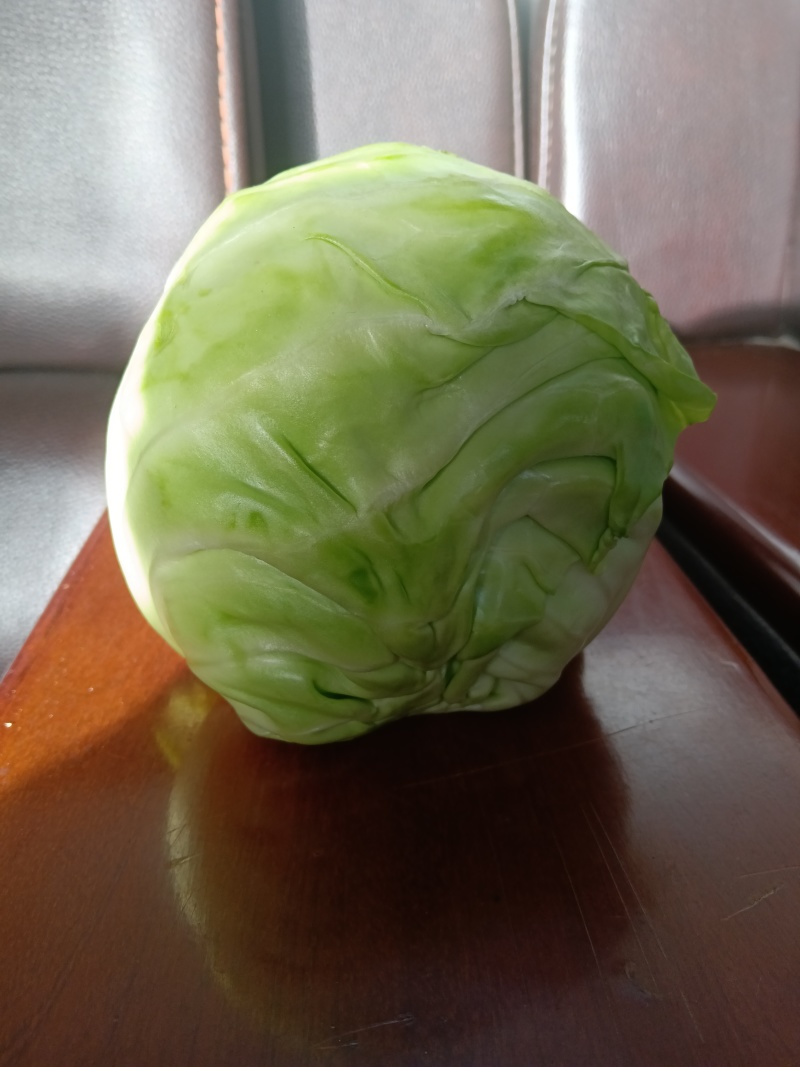 甘蓝