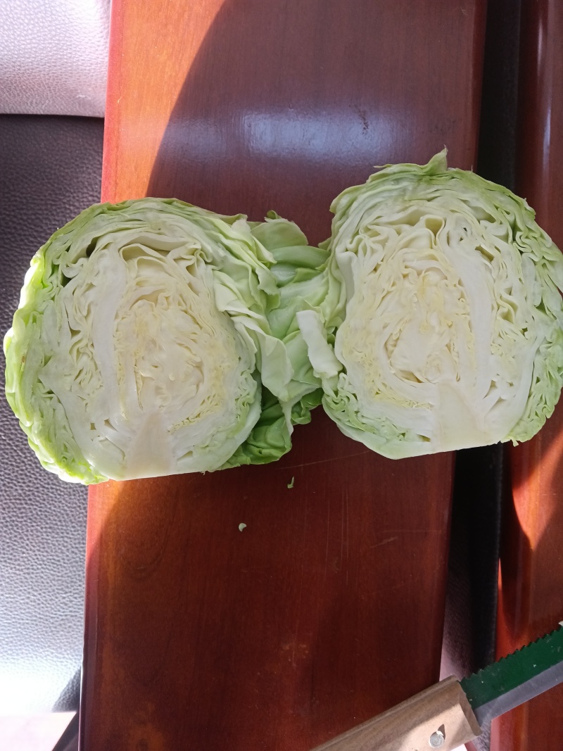 甘蓝