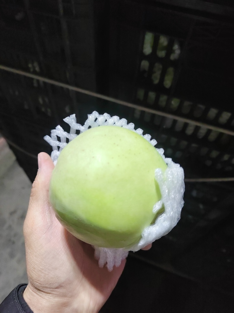 少量，大量都可发货阿克苏冰糖心，瑞雪，