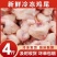 鸡屁股，鲜货屠宰场大肉食鸡割的！只做美味佳肴