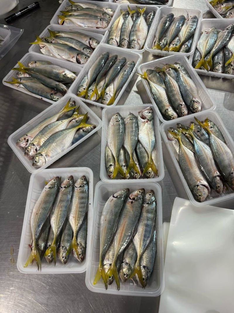本港野生黄尾巴浪鱼，6-7条400g（杀净）