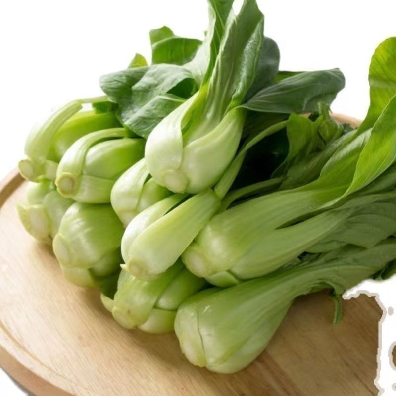 绿叶蔬菜上海青货源充足，质量上乘，欢迎咨询订购