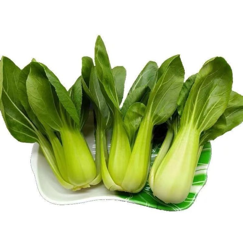 绿叶蔬菜上海青货源充足，质量上乘，欢迎咨询订购