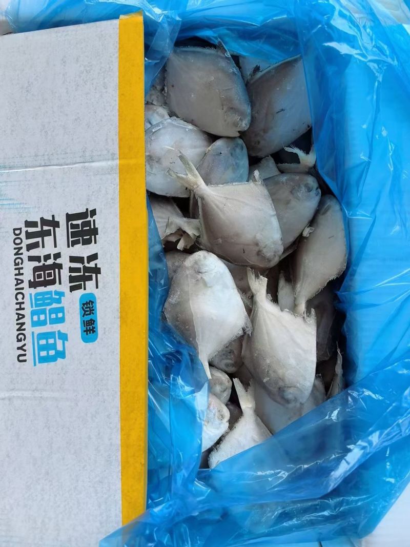 单冻_坂冻都有货