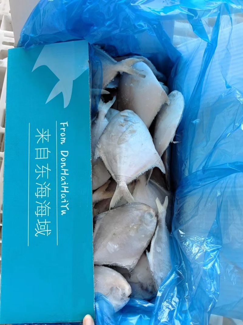 单冻_坂冻都有货
